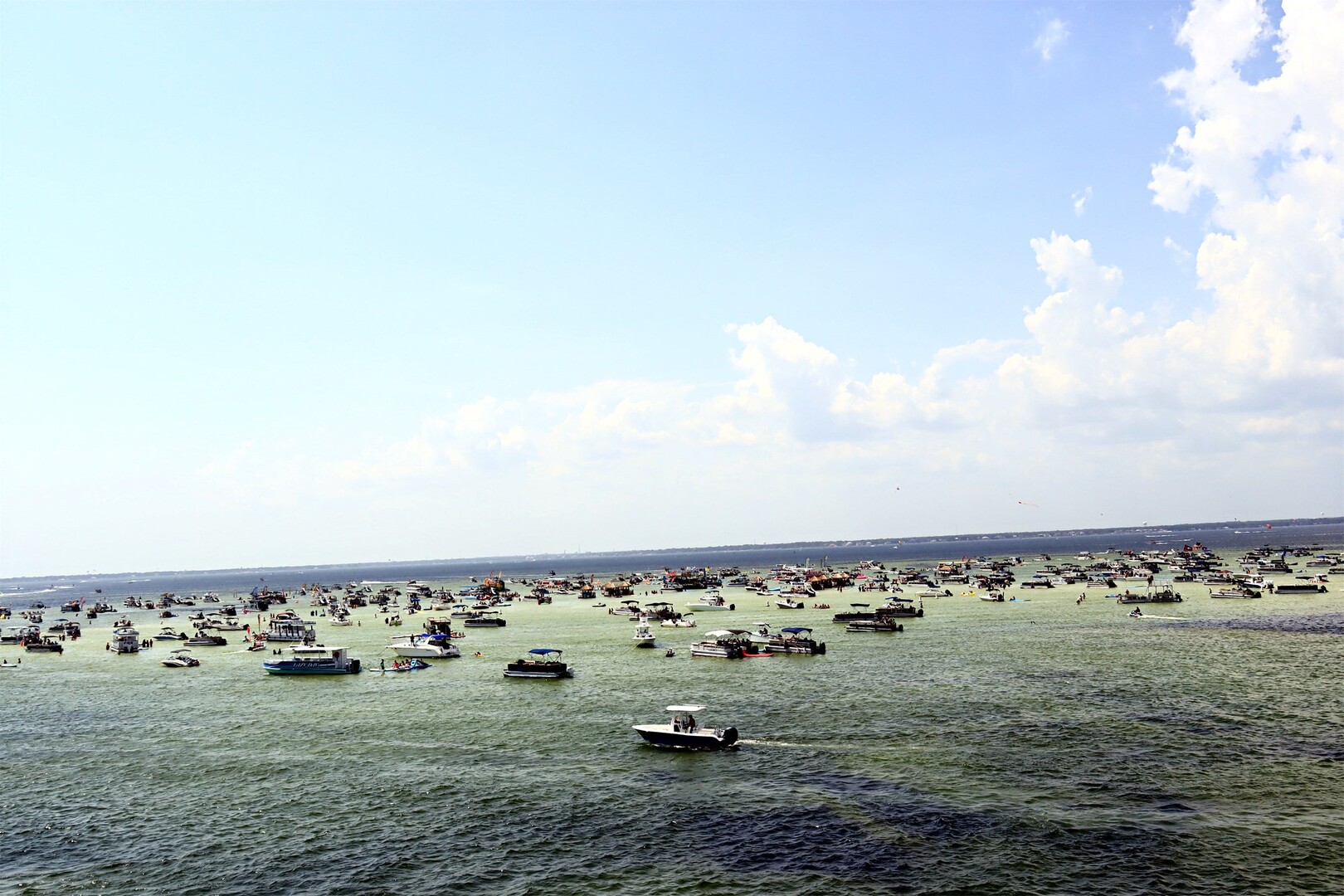 Crab Island Sandbar Adventure