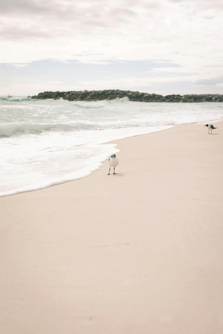 Destin Harbor and Crystal Waters