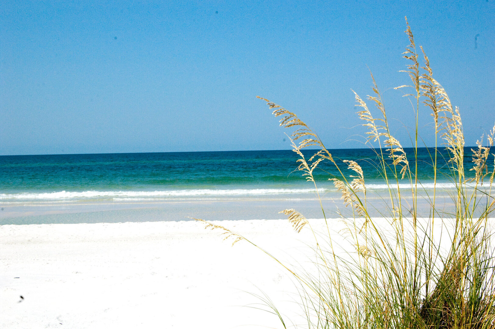 Shell Island Jet Ski Adventure